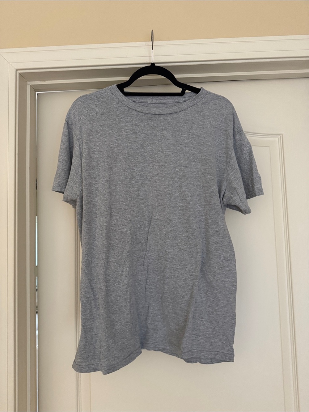 Large- Gildan Gray Men's T Shirt